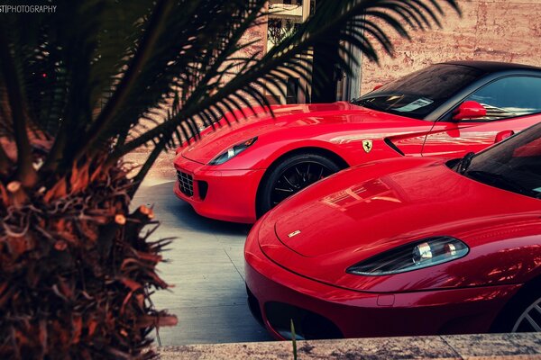 Red ferrari cars at home