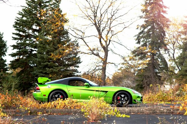 Auto verde nella foresta d autunno