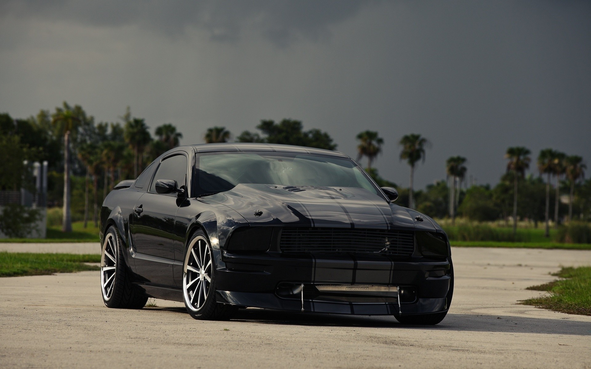 ford mustang schwarz himmel getönt