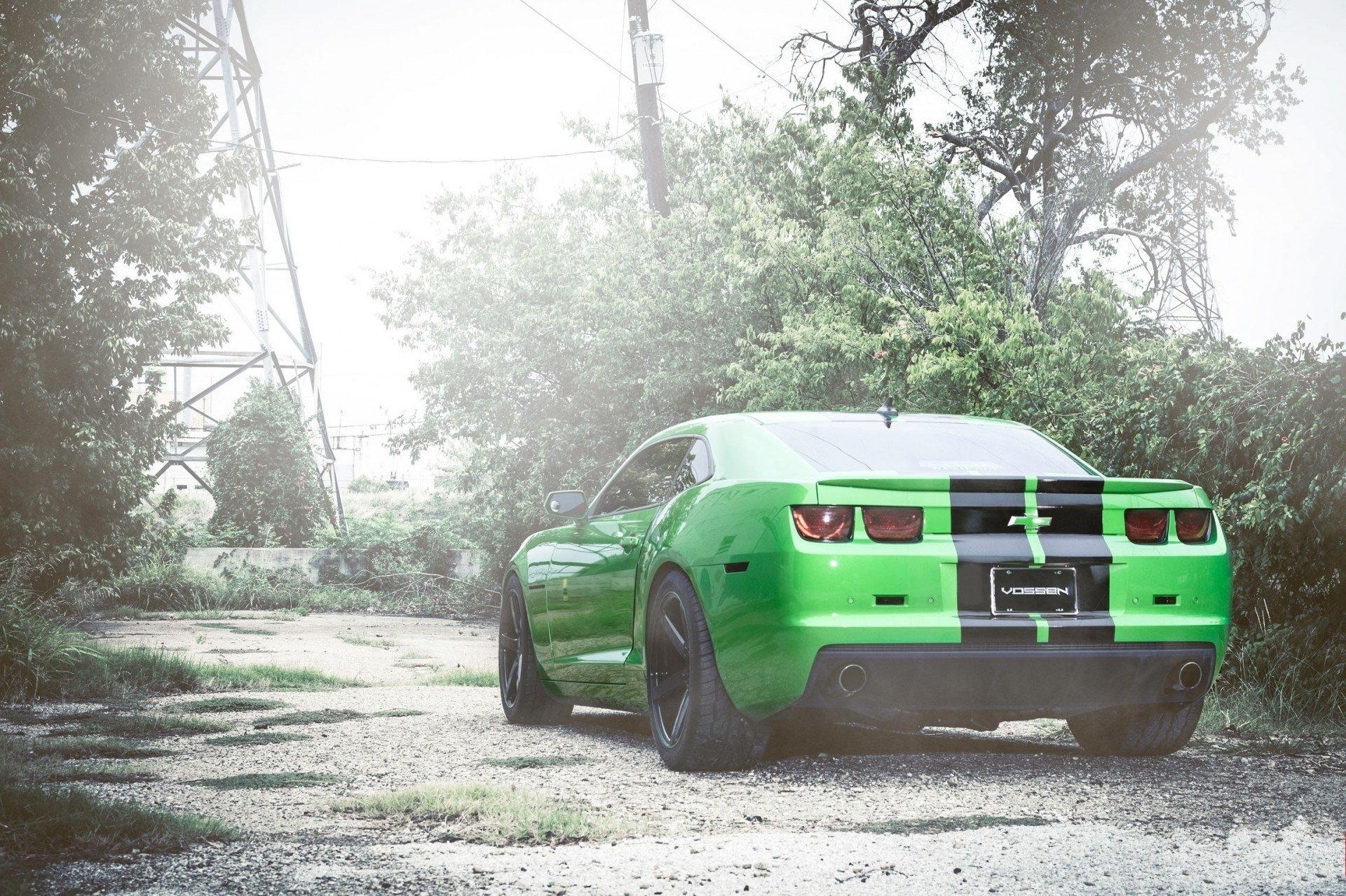 camaro arbres corvette arrière-cour verdure