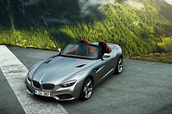 BMW raide sur fond de pente panoramique ensoleillée