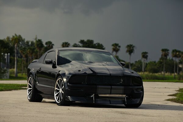 Ford Mustang negro en la carretera entre la vegetación