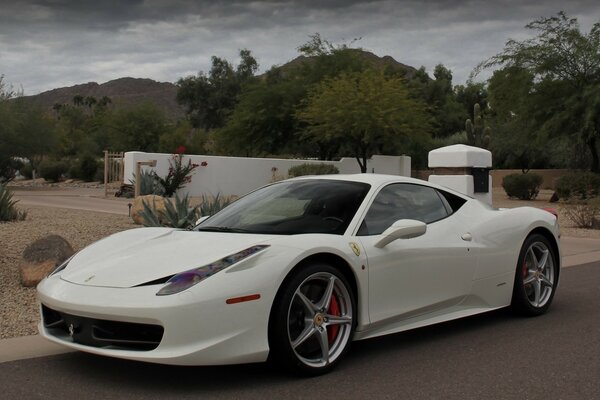 Une voiture blanche ferrari 458 italia se dresse sur la route