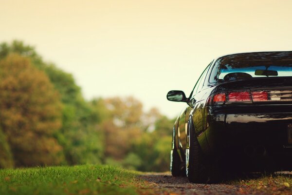 Nissan on a dirt road in the park