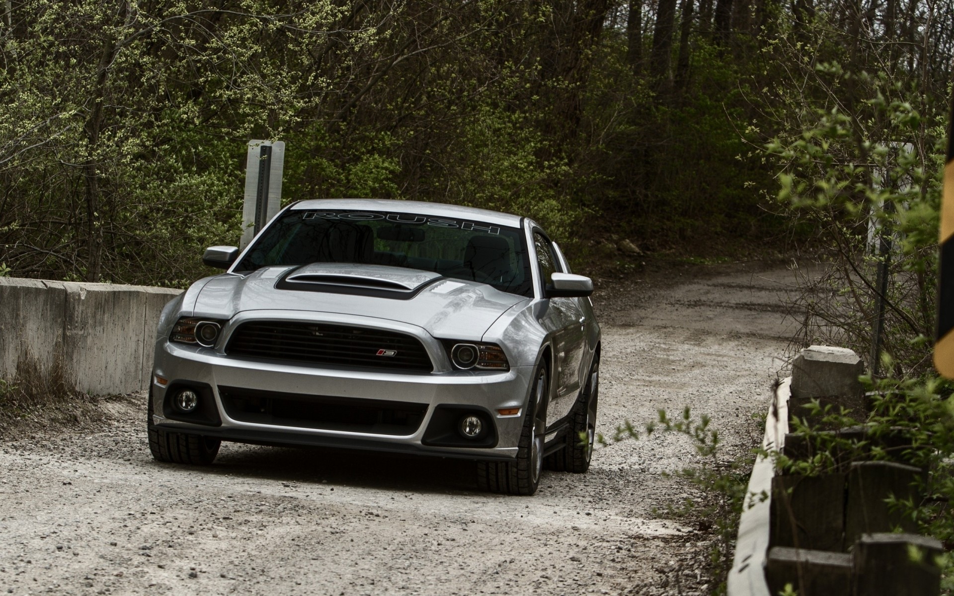 mustang strada ford natura