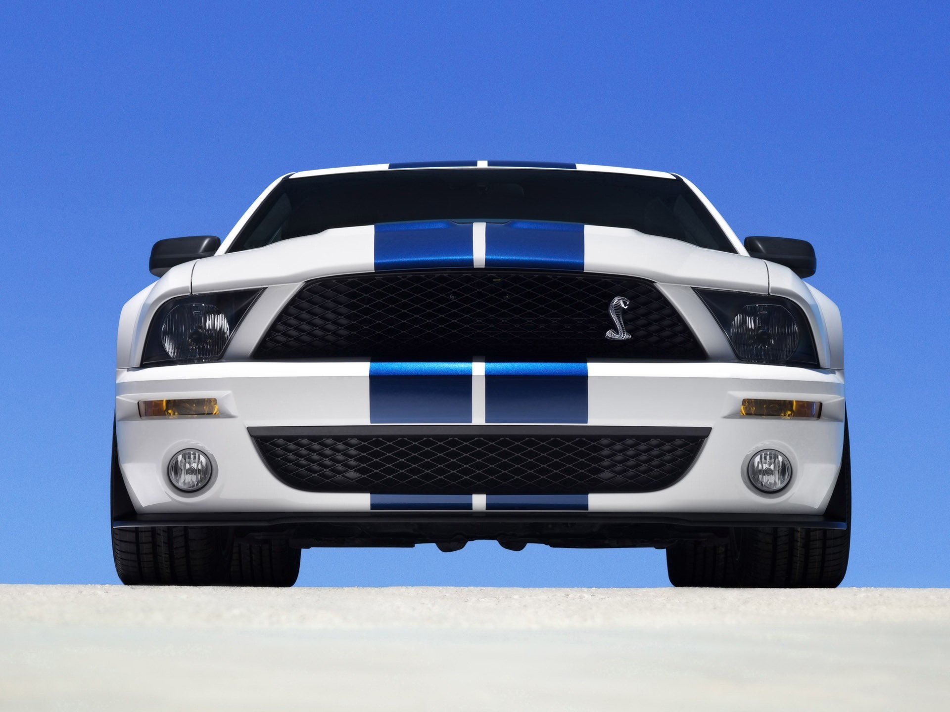 vue de face ford shelby ford gt500 voitures shelby