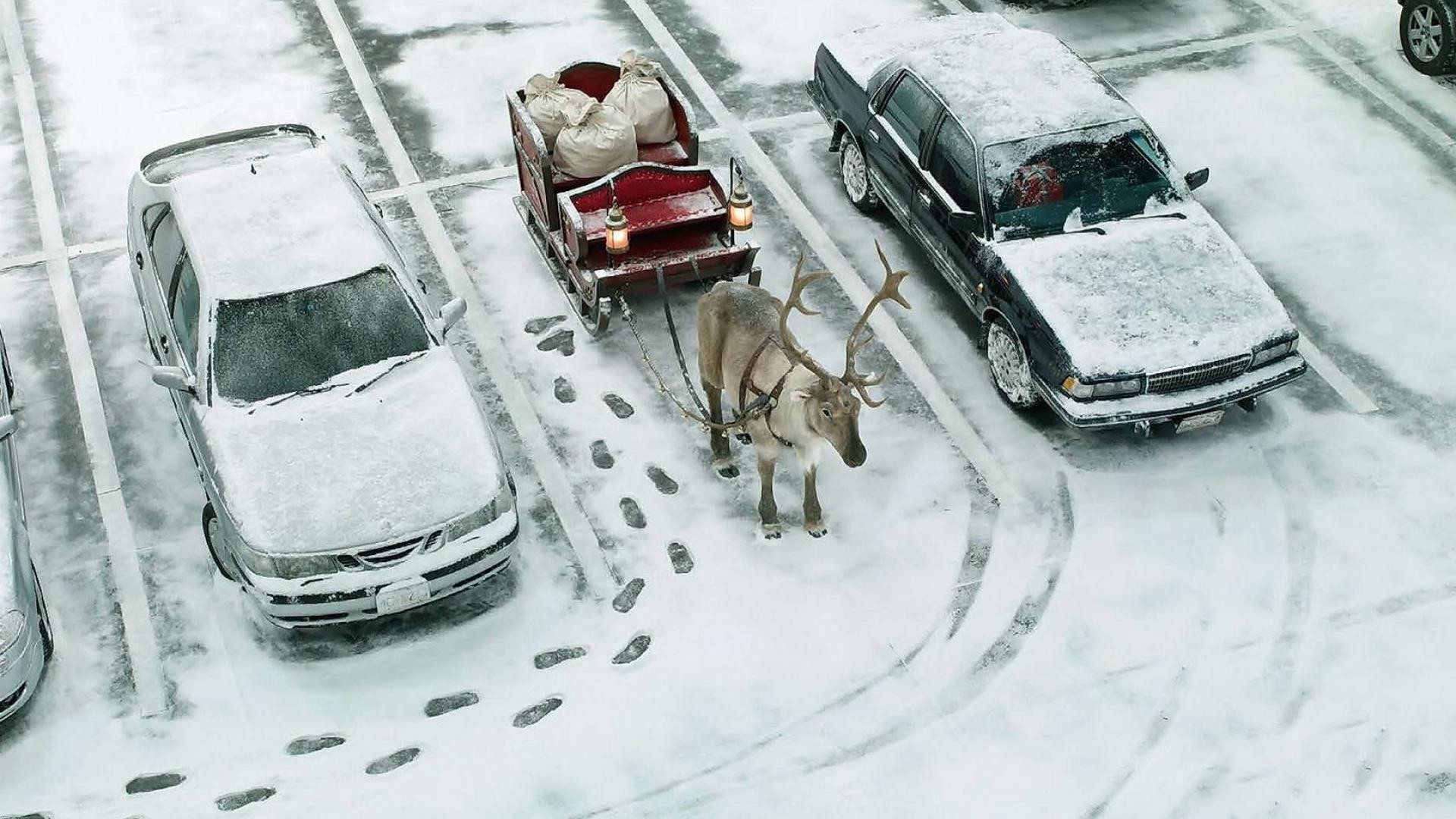 lustig schnee weihnachten humor schlitten autos winter hirsch