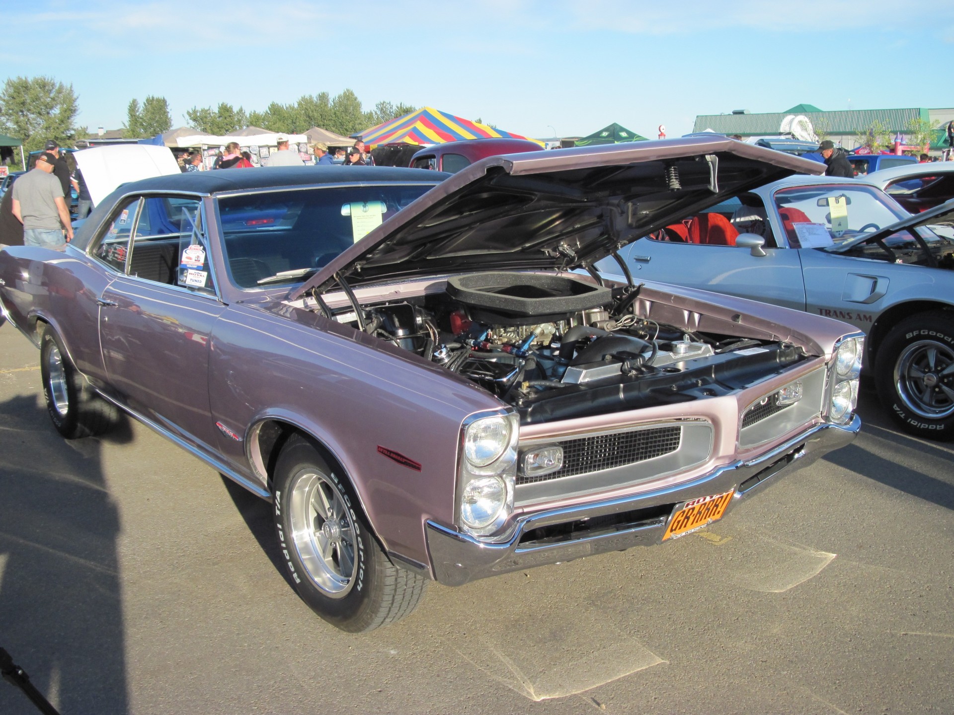 tyres pontiac purple photo light