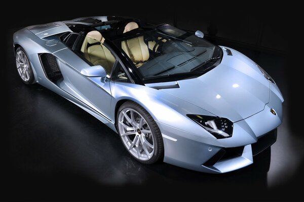 Srebrny lamborghini aventador 2014 na czarnym tle