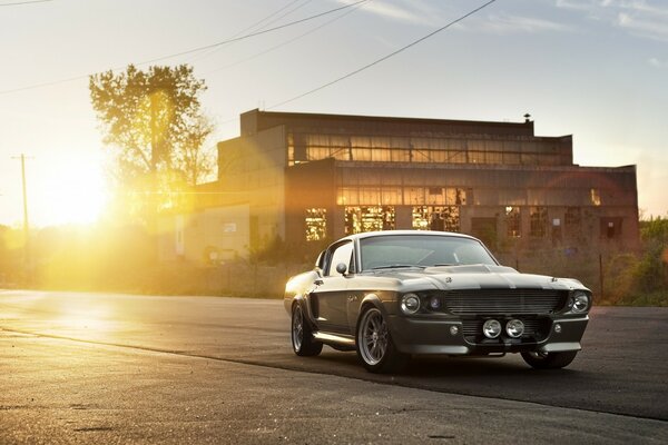 Brutalny Ford Mustang w promieniach słońca