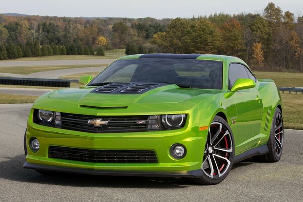 Voiture Chevrolet couleur verte sur fond de nature