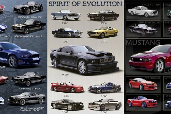 Image of a variety of cars from the very first to the newest