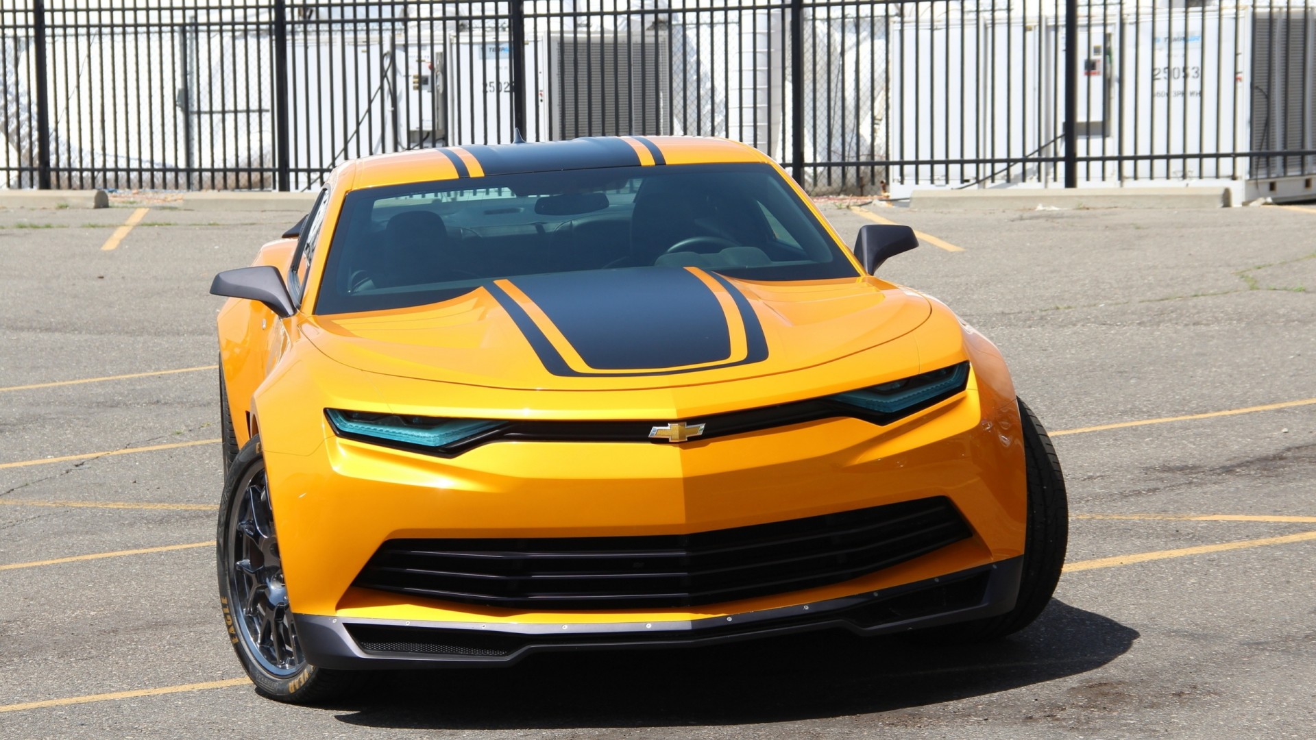 gorąca camaro camaro słodki camaro