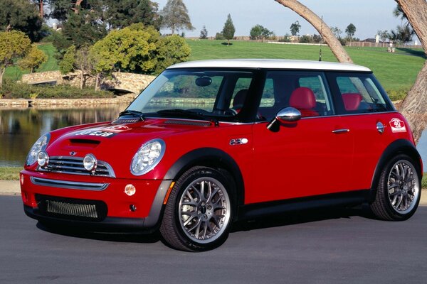 Red mini car for a successful lady