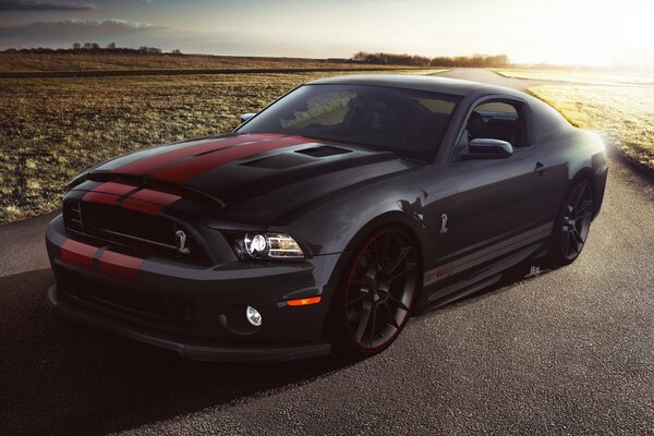 Mustang Ford Ford couleur foncée