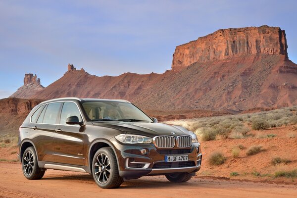 BMW X5 xDrive50i crossover en el desierto