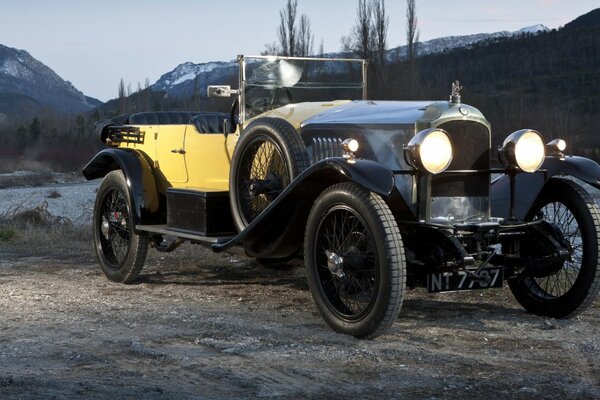 Vieille voiture Vauxhall dans la forêt