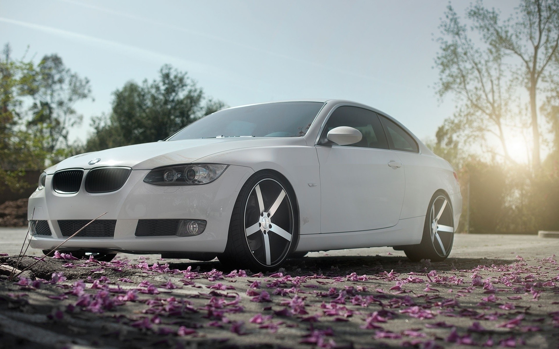 tuning tree bmw drives car machinery supplies petal