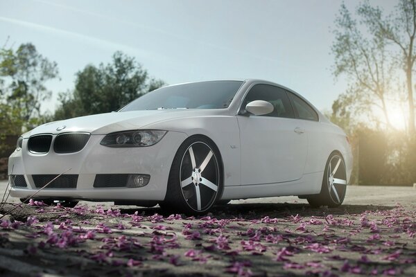 BMW blanco en el fondo de la subida sonz