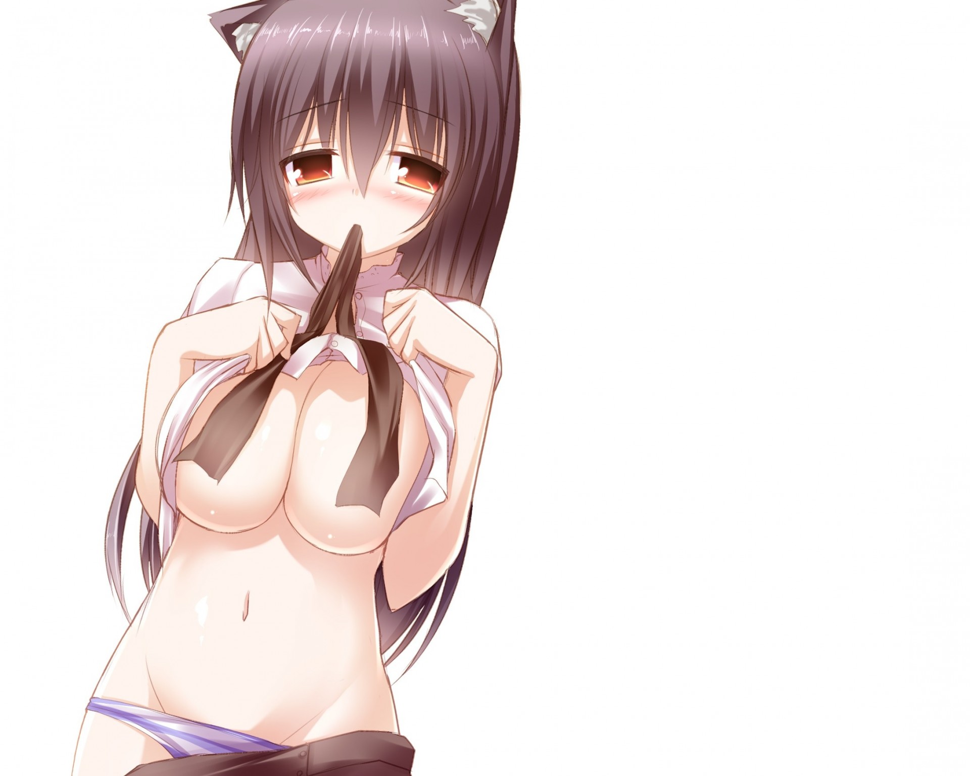 rubor pelo negro pecho blanco ropa interior catgirl bragas orejas de animales