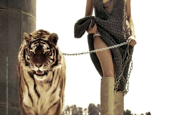 Blonde walking in the desert with a tiger