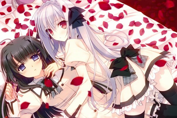 Two girls in petals on the bed