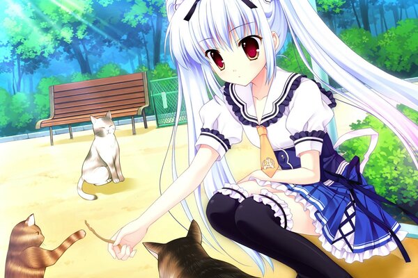 Anime seifuku con gatos en el parque