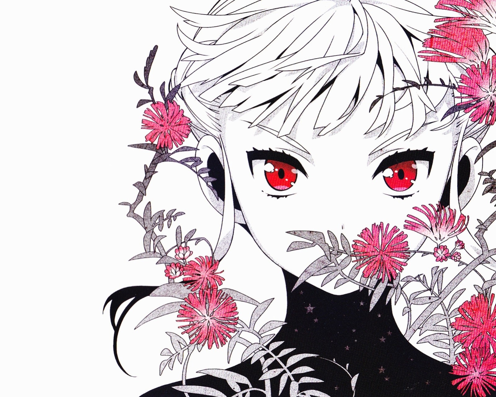 blanc fleurs yeux rouges