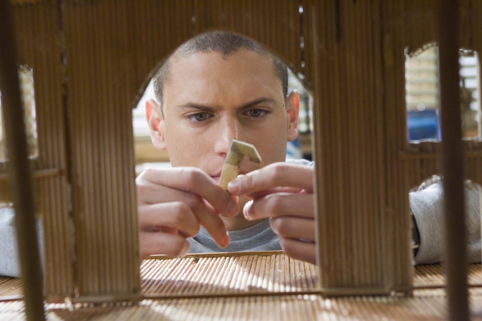 fenster netter junge haus blick augen gesicht