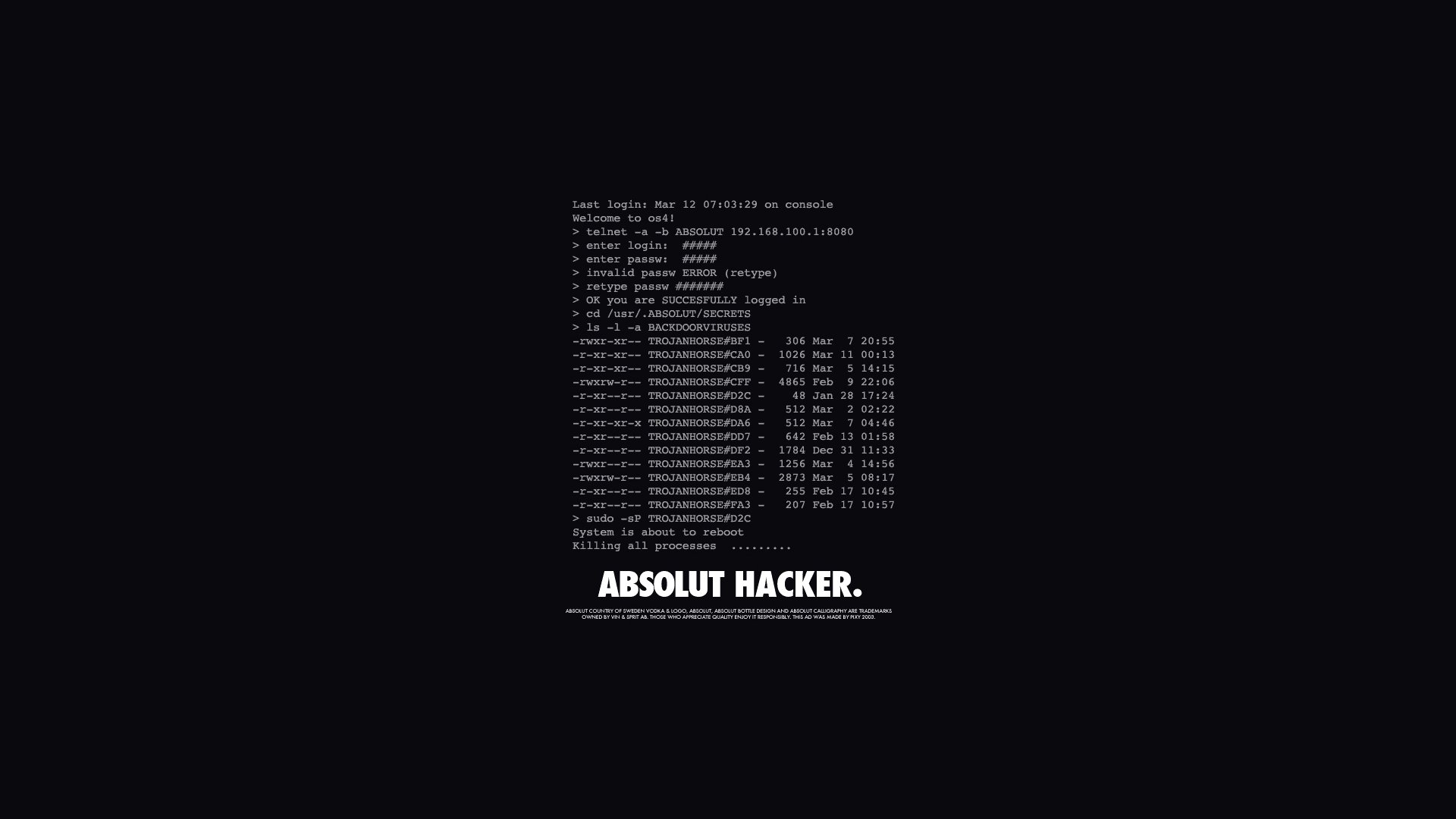 assoluto hacker lettere parole iscrizione nero