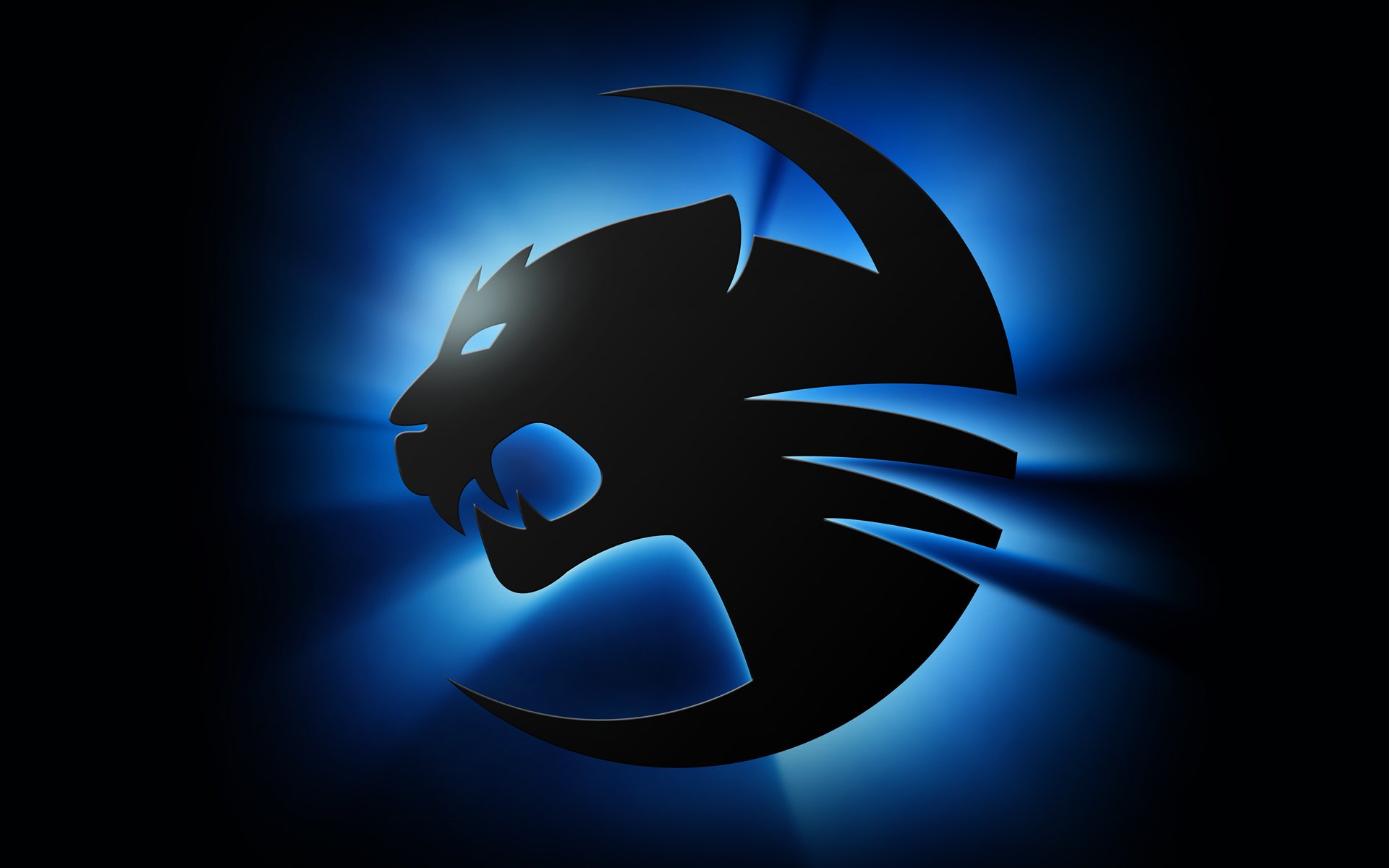 roccat darkglow tapety