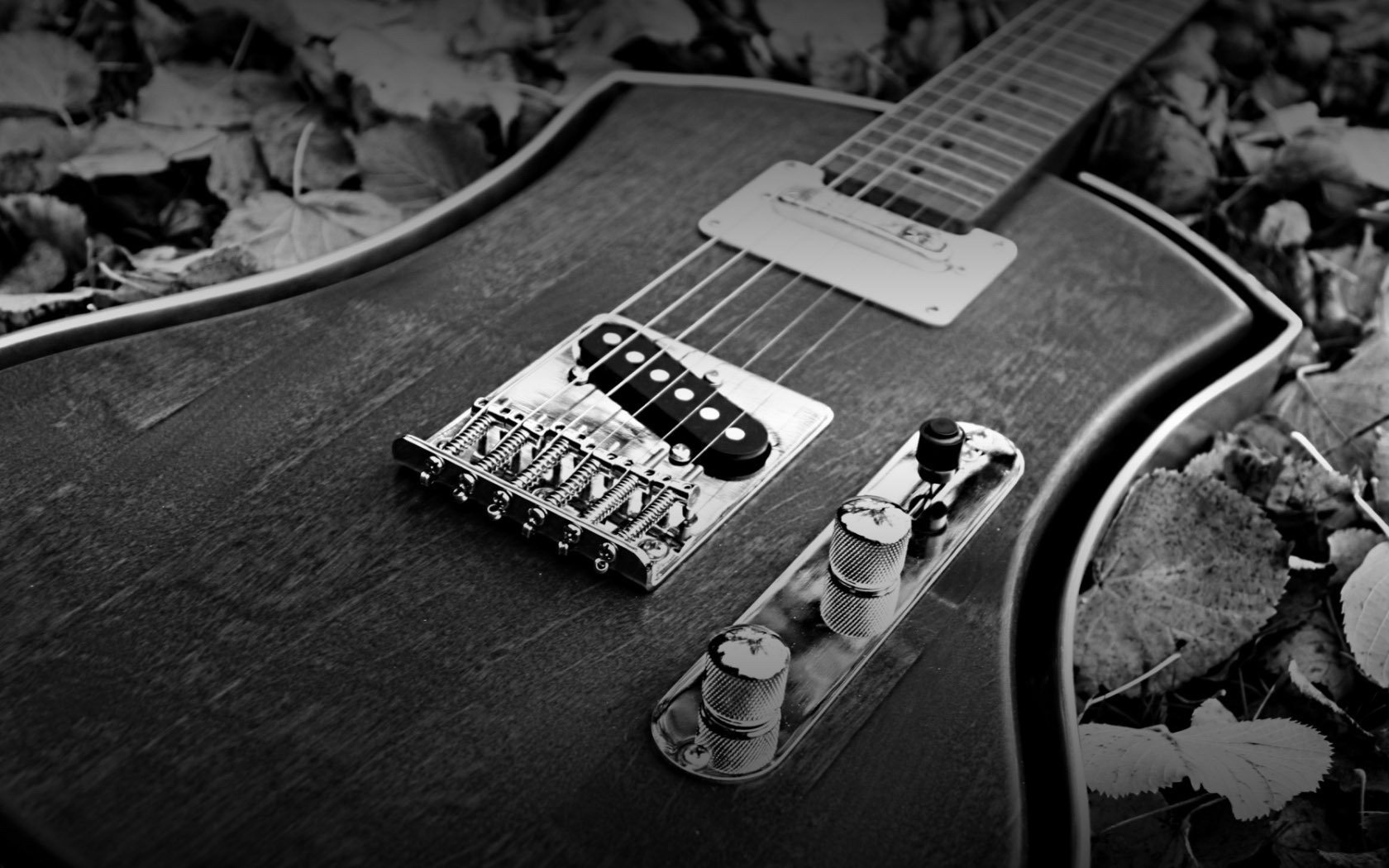 liegt im laub gitarre saiten musikinstrumente e-gitarre