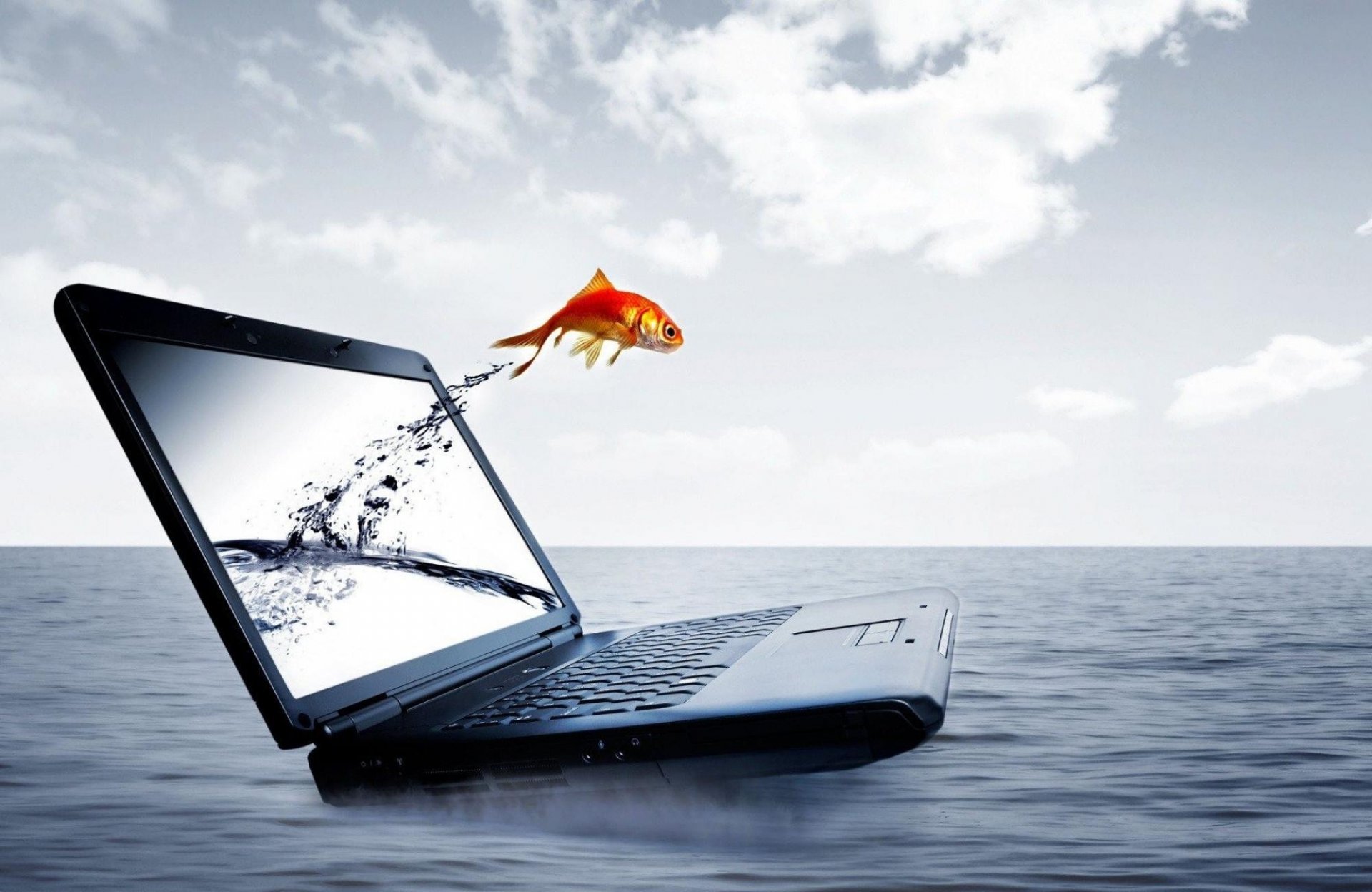 laptop wasser fisch sprung vom laptop computer 3d