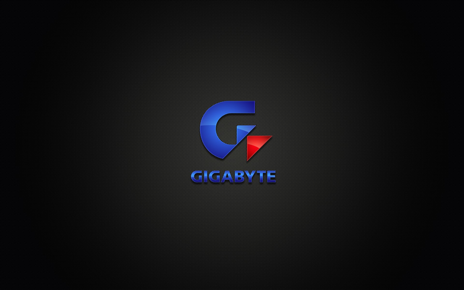 gigabyte brand black carbon