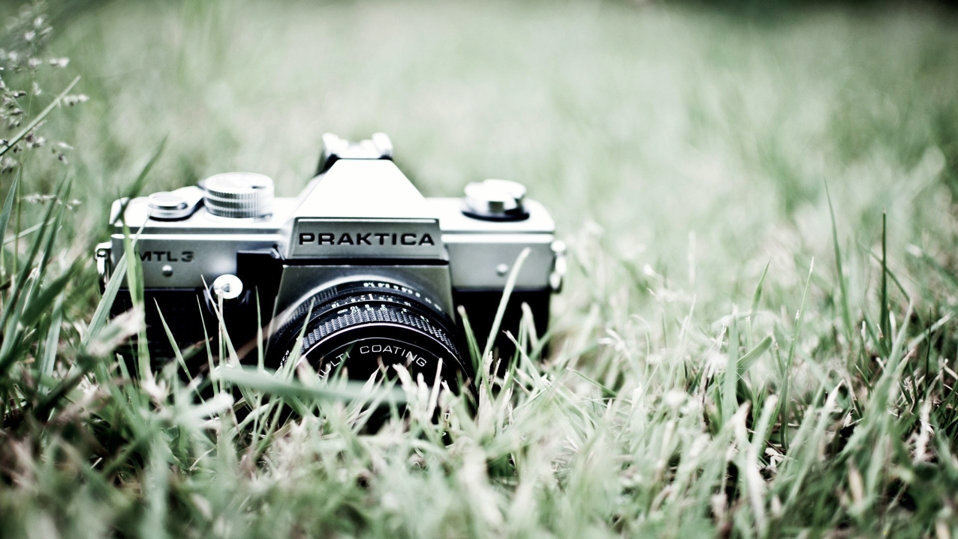 фон трава praktica фотоаппарат объектив