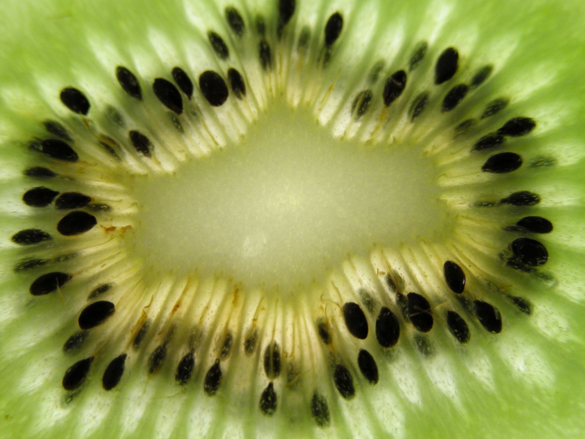 schwarze körner essen obst kiwi