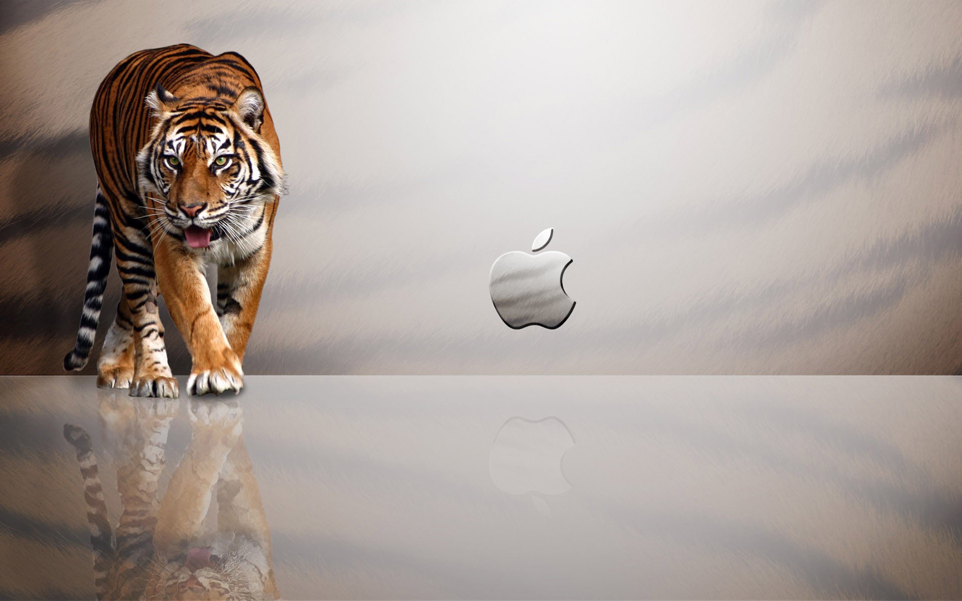 apple tiger reflection