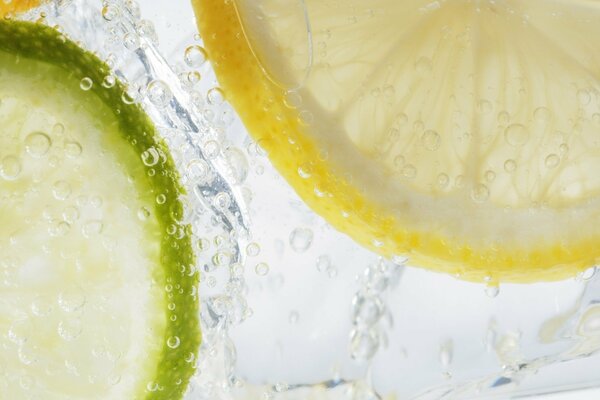 Lemon and Lime slices color contrast on ice cubes