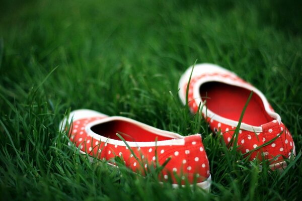 Red ballet flats with white peas on the grass