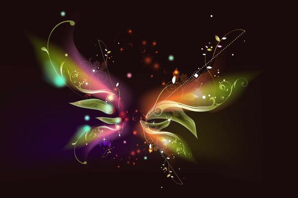 Butterfly with stars and linear color patterns