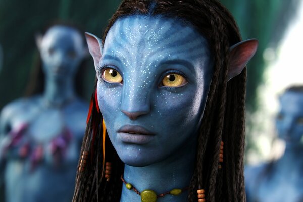 The characters of the movie Avatar at the meeting
