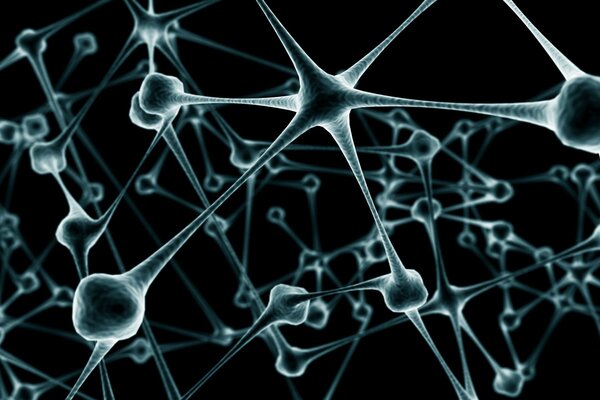 Diagram of neurons and connecting elements of chemistry