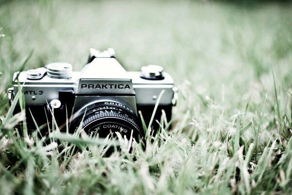 Macchina fotografica nel parco sul trvve verde