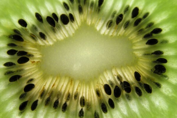 Gros grains de Kiwi noirs