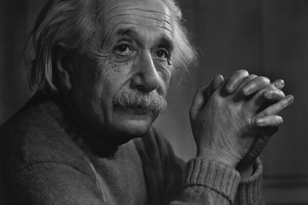 Porter del genio científico Einstein a la edad de