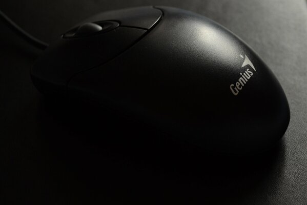 Mouse logo grey glare