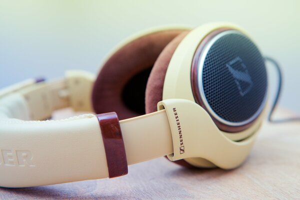 Sennheiser HD598 hi-tech headphones on the table