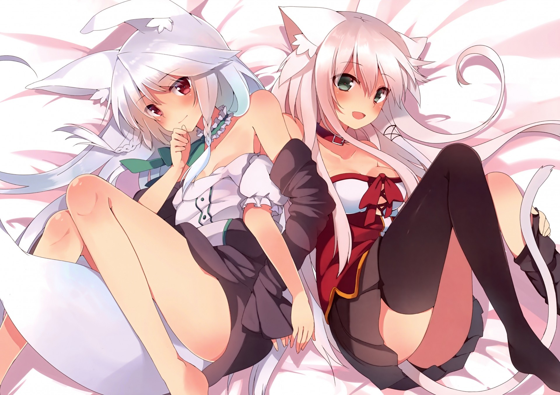 pink hair long hair animal ears torment 2girls tagme collar fang red eyes catgirl tail thighhighs blue hair