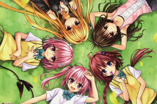 Fünf Anime-Heldinnen, die auf dem grünen Rasen liegen