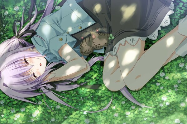 Anime Mädchen auf grünem Gras mit lila Haaren